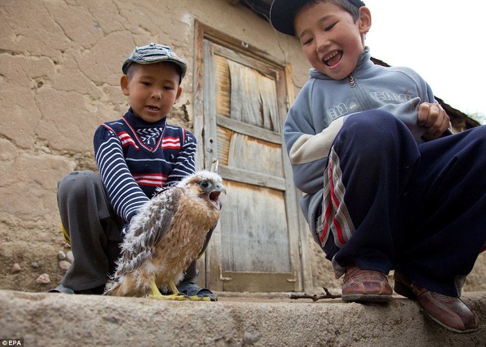 .Azim (phải) và Aybek rất thích chơi với con chim ưng.