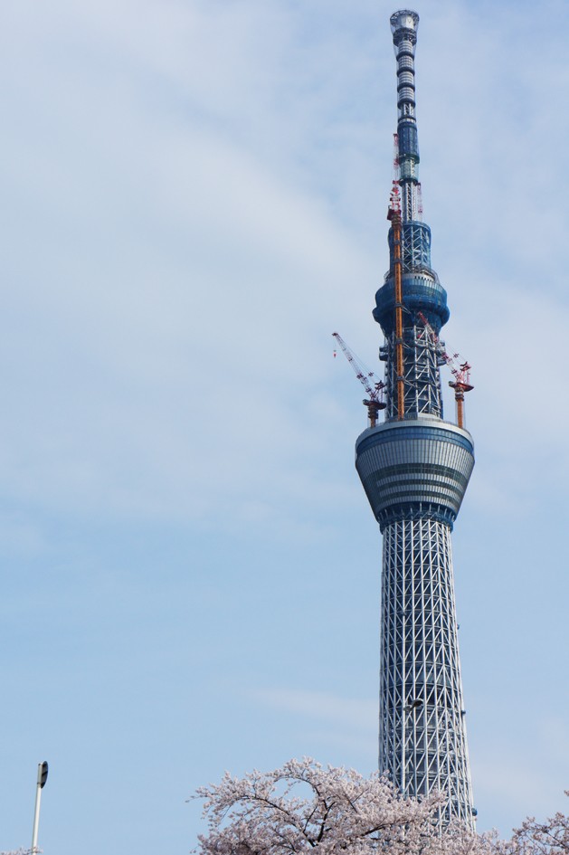 Tháp Tokyo Sky Tree nhìn từ xa