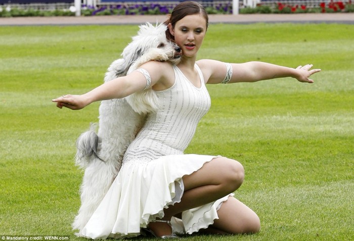 Ashleigh Butler, 17 tuổi, và chú chó Pudsey biểu diễn trước 30.000 khán giả có mặt tại trường đua. Cô là người vừa giành chiến thắng trong cuộc thi Britain's Got Talent