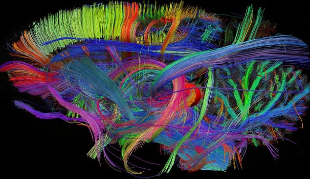 Giáo sư Jan Wedeen tuyên bố, máy quét màu cầu vồng này có thể cho phép con người nhìn thấy hình ảnh chi tiết đầu tiên của những con đường liên kết 100 tỷ tế bào não người lại với nhau và cách chúng hoạt động thế nào.