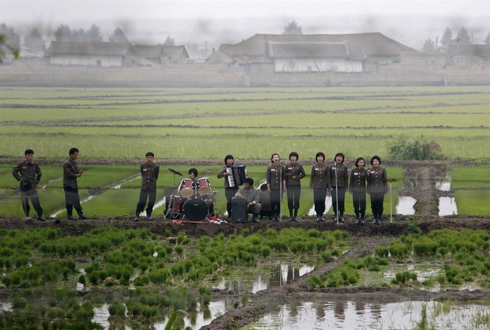 Một nhóm nhạc công Triều Tiên chơi nhạc trên con đường nằm giữa các thửa ruộng để ngợi ca những người nông dân trên đảo Hwanggumpyong gần thị trấn biên giới Sinuiju, giáp tỉnh Đan Đông, Trung Quốc ngày 6/6.