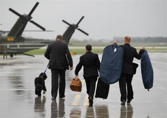 Nhân viên Nhà Trắng và binh sĩ không quân mang hành lý và dắt chú chú Bo của Tổng đi trên đường băng ẩm ướt tại sân bay Chicago O'Hare của Chicago, ngày 04 tháng 8 năm 2010.