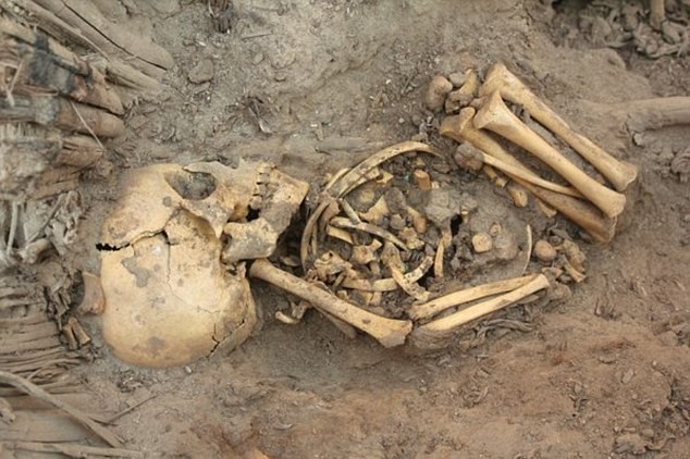 Tổng cộng có 80 bộ hài cốt trẻ sơ sinh được phát hiện trong ngôi mộ hình bầu dục dài 9m ở Pachacamac, cách phía nam thủ đô Lima khoảng 32 km.