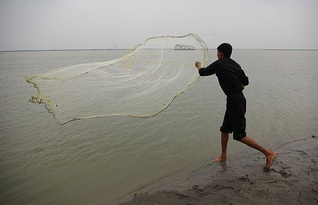 Người Ấn Độ bắt cá trên sông Brahmaputra. Ảnh Telegraph