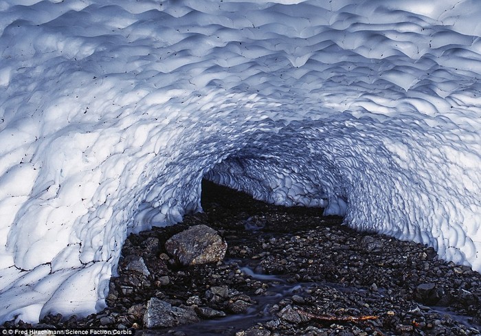 Một hang động hình thành bên dưới lòng dòng sông băng ở Công viên quốc gia vịnh Glacier.