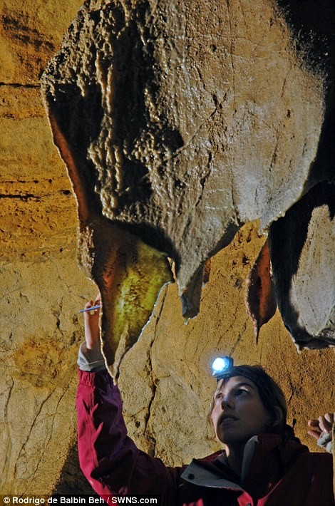 Đây được coi là những tác phẩm nghệ thuật trong hang động lâu đời nhất tại châu Âu từng được biết tới để có thể xác định chính xác niên đại của những bức tranh trong hang động này.