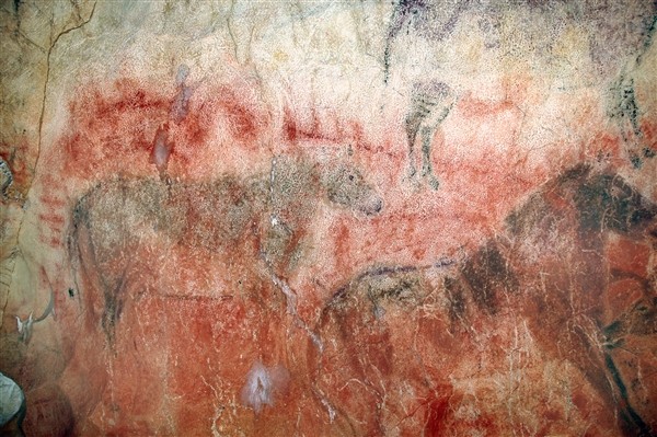 Hình ảnh động vật trong bức tranh 40.800 năm tuổi.