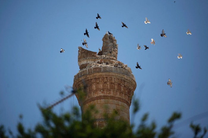 Một đàn chim bay qua ngọn tháp bị phá hủy của một nhà thờ Hồi giáo ở thị trấn Ariha, ngoại ô thành phốIdlib, Syria, ngày 10 tháng 6 năm 2012.