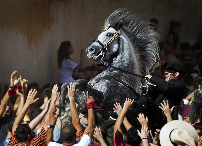 Một con ngựa được đám đông vây quanh chào đón trong cuộc diễu hành ngựa truyền thống San Juan tại Ciutadella, trên đảo Balearic của Menorca, Tây Ban Nha ngày 23/6.
