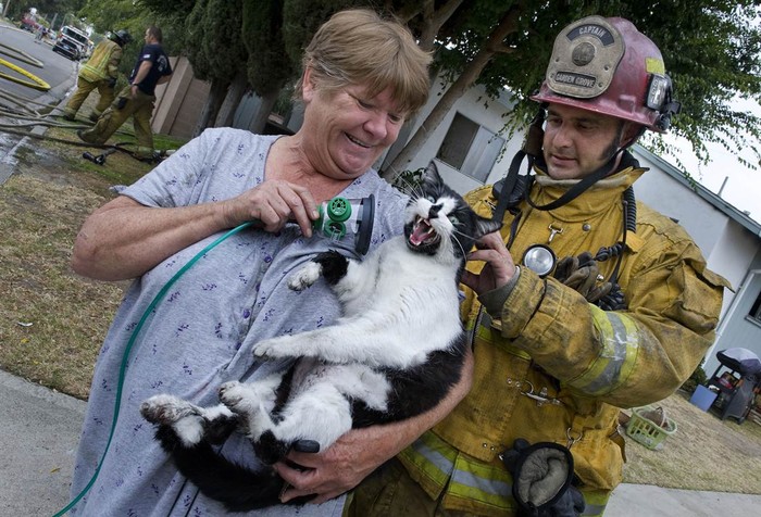 Nhân viên cứu hỏa Albert Acosta sở đầu con mèo Magic của bà Norma Arbotast. Mèo Magic đã được hỗ trợ hô hấp sau khi xảy ra một đám cháy ngày 21/6.