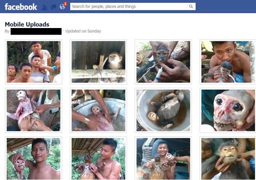 Những hình ảnh hành hạ dã man trước khi giết hại hai con voọc quý hiếm được đăng tải trên Facebook của Quang khiến cộng động mạng trong và ngoài nước phẫn nộ những ngày qua.