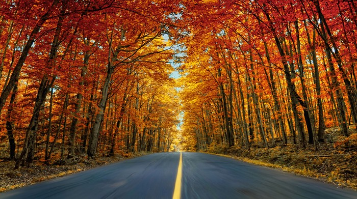 Con đường tuyệt đẹp tại Muskoka, Ontario, Canada. Ảnh Alessandro Cancian.