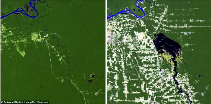 Ảnh được chụp từ vệ tinh Landsat cho thấy khu vực xung quanh đập thủy điện Samuel khi nó bắt đầu được xây dựng vào năm 1984 (trái) trên sông Jamari ở Rodonia, Brazil và trong năm 2011.