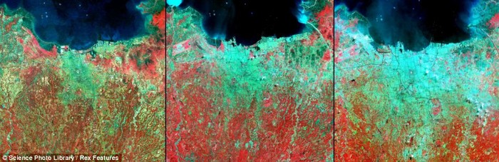 Ảnh vệ tinh cho thấy sự phát triển của thành phố Jakarta, Indonesia trong năm 1976 (trái) với 6 triệu dân, năm 1989 (giữa) với 9 triệu dân và năm 2004 với 13 triệu dân. Màu đỏ là thực vật, màu xanh lá cây là các khu vực đô thị. akarta là thành phố đông dân nhất trong khu vực Đông Nam Á và là thành phố đông dân thứ 12 trên thế giới.