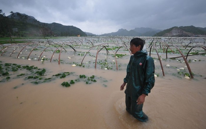 Nông dân Trung Quốc đứng nhìn những thửa ruộng ngập trong nước tại Tam Môn, Chiết Giang.