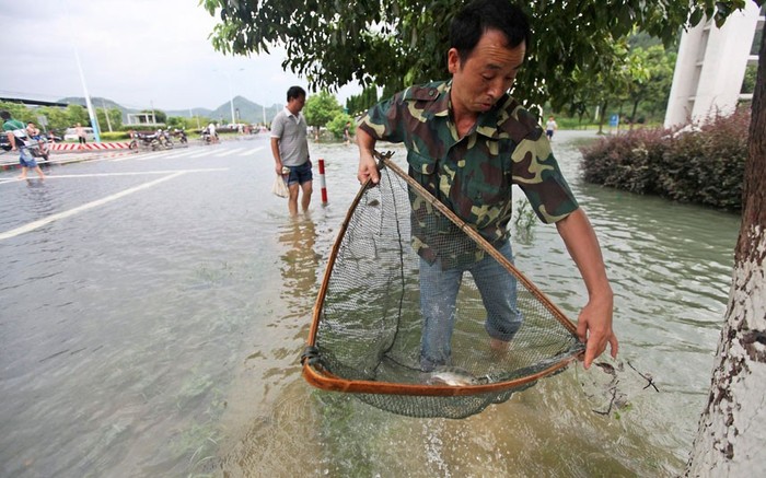 Những con phố ngập nước ở Đài Châu, tỉnh Chiết Giang trở thành "ngư trường" của dân địa phương.