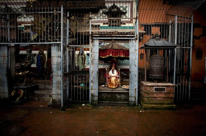 Nữ thần sống Kumari Samita Bajracharya, 10 tuổi, ngồi đợi tín đồ tại tu viện Phật giáo Ratnakar Bihar ở Lalitpur, Nepal ngày 3/8.