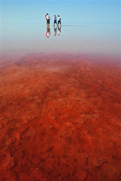 Khách du lịch háo hức thưởng thức cảnh sắc kỳ lạ của hồ muối ở Thổ Nhĩ Kỳ.