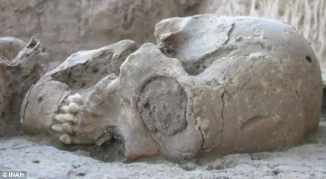 Các bộ hài cốt được phát hiện có niên đại 1.000 năm.
