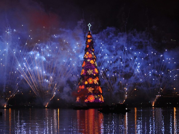 Cây thông Noel lớn nhất thế giới tại Brazil.