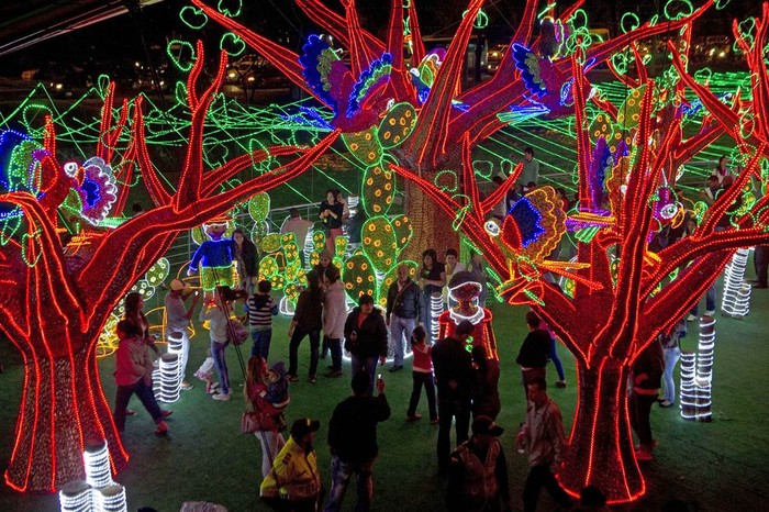 Người dân thăm quan cây ánh sáng trên bờ sông Medellin ở Medellin, Colombia.