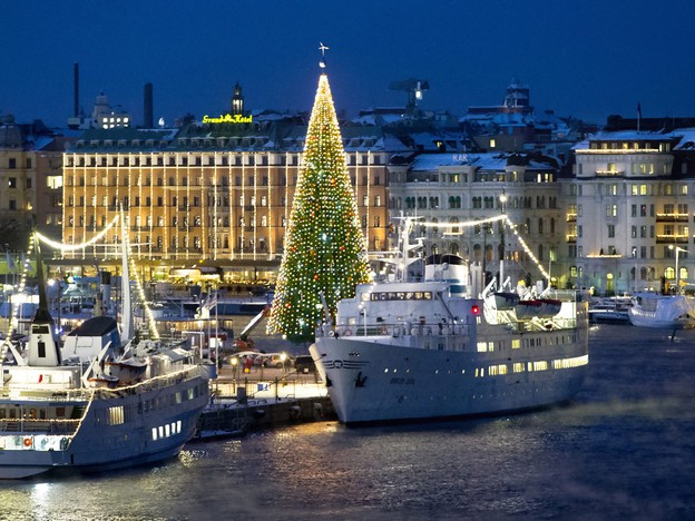 Cây thông cao 36m tại bến du thuyền ở tockholm, Thụy Điển.