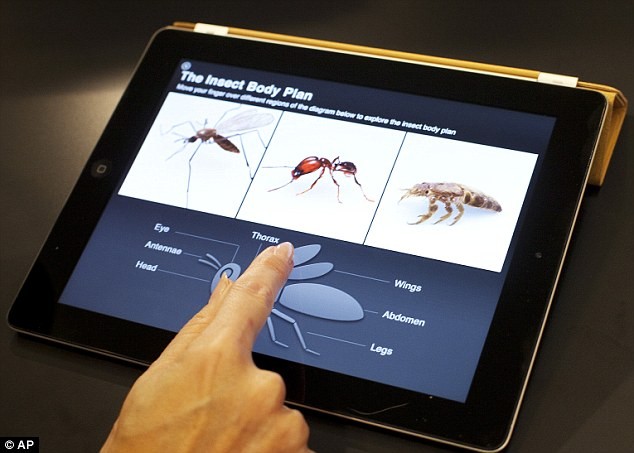 iPad đầu tiên ra mắt người tiêu dùng trong năm 2010.