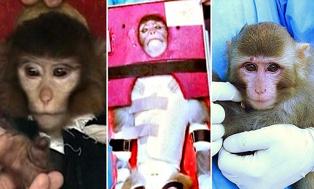 Con khỉ lúc trở về Trái Đất (phải) và con khỉ được đưa lên vũ trụ (2 hình bên trái) trong các đoạn video được Iran công bố không giống nhau hoàn toàn.