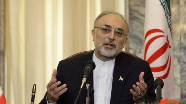Ngoại trưởng Iran Ali Akbar Salehi.
