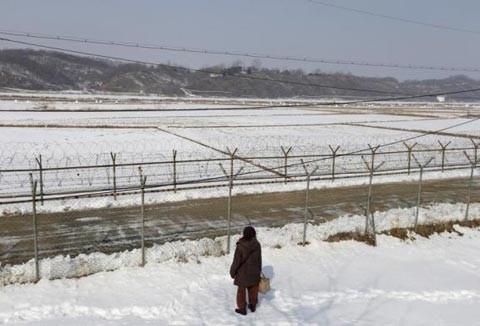 Một phụ nữ Triều Tiên đứng gần hàng rào biên giới ngăn cách hai miền.