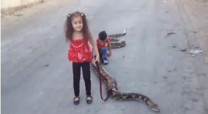 Hai đứa trẻ tỏ ra không hề sợ hãi con vật to lớn, đáng sợ.