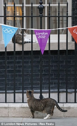 Mèo Freya bị bắt gặp đang cố gắng đột nhập vào kho bạc, nơi ông Osborne làm Giám đốc thứ 2.