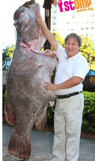 Con cá mú khổng lồ nặng 270 kg, dài 2 m.
