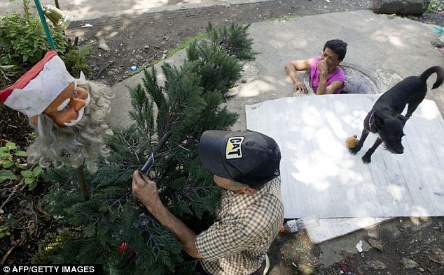 Vợ chồng ông bà Restrepo trang trí một cây thông trong dịp Noel ngay cạnh lối xuống cống ngầm.