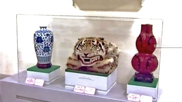 Một bộ da bổ được trưng bày trong Nhà triển lãm hữu nghị quốc tế
