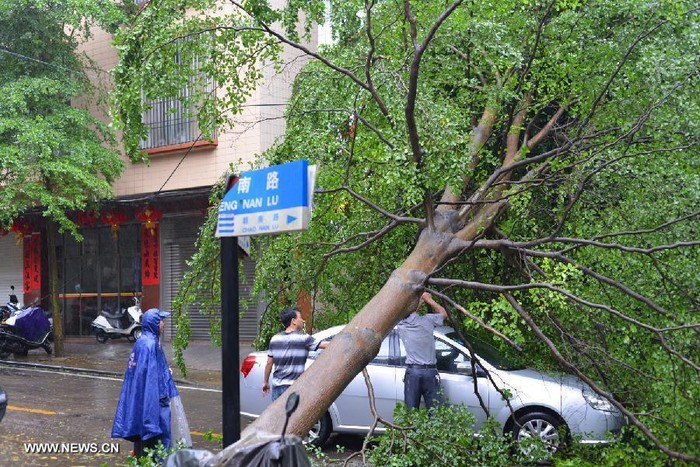Bão Utor quật đổ cây cối tại thành phố Dương Giang, tỉnh Quảng Đông.