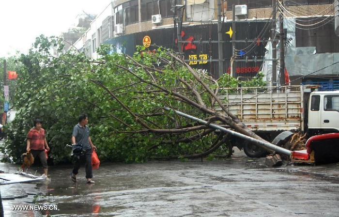 Cây bật gốc chắn ngang đường phố ở thành phố Dương Giang, tỉnh Quảng Đông