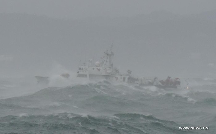 Tàu CHENGLU15 bị đứt neo khi đậu ngoài khơi cảng Pohang