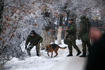 Chó nghiệp vụ được triển khai xuống phố hỗ trợ lượng nhân viên an ninh mỏng tại Volgograd.