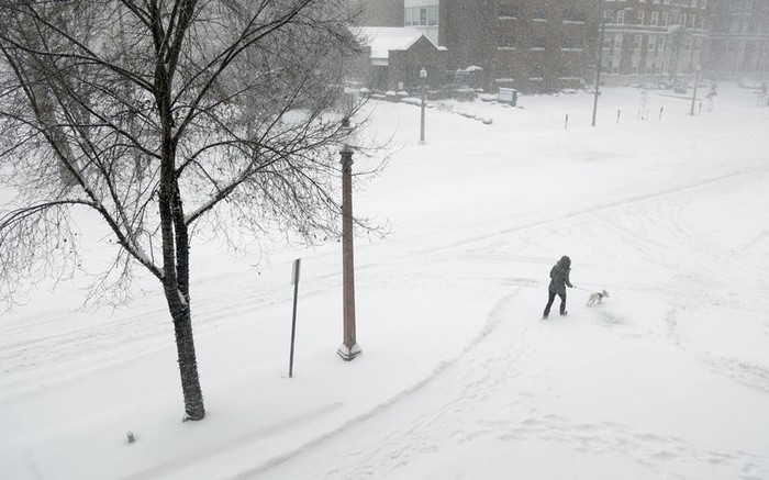 Một vụ nữ dẫn chó đi dạo trên con đường mênh mông tuyết trắng ở St. Louis.