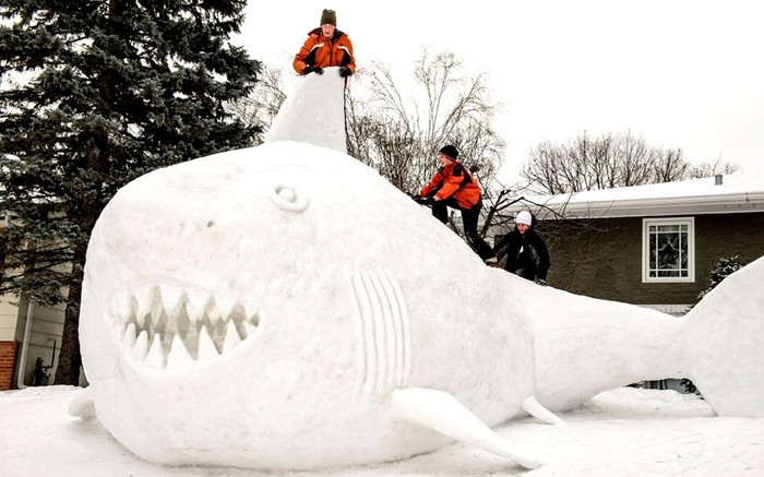 Ba anh em Trevor, Connor và Austin Bartz tạo hình cá mập khổng lồ từ tuyết trên sân nhà ở New Brighton, Minnesota.