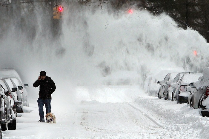 Một người đàn ông dắt chó đi bộ trong bão tuyết.