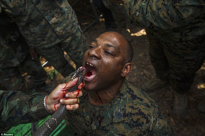 Một lính Mỹ trải nghiệm phong tục địa phương - uống máu rắn.
