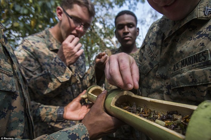 Lính Mỹ ăn côn trùng trong ống tre.