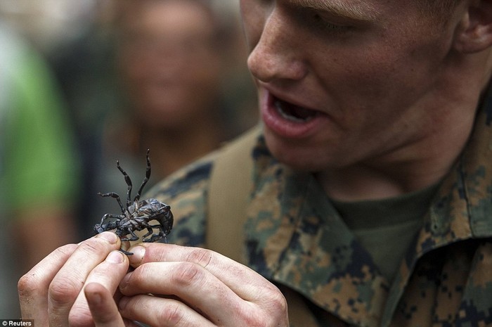 Lính Mỹ thử thách để bọ cạp cắn trước khi ăn sống chúng trong bài tập tồn tại ở nơi hoang dã.