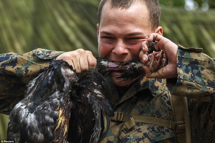 Lính Mỹ học cách cắn cổ giết chết gà trong một cú đớp.