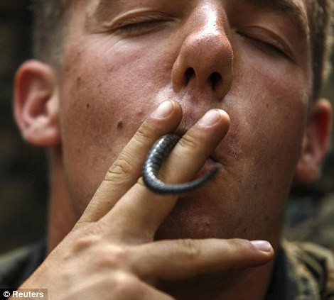 Lính Mỹ học cách ăn đuôi rắn.