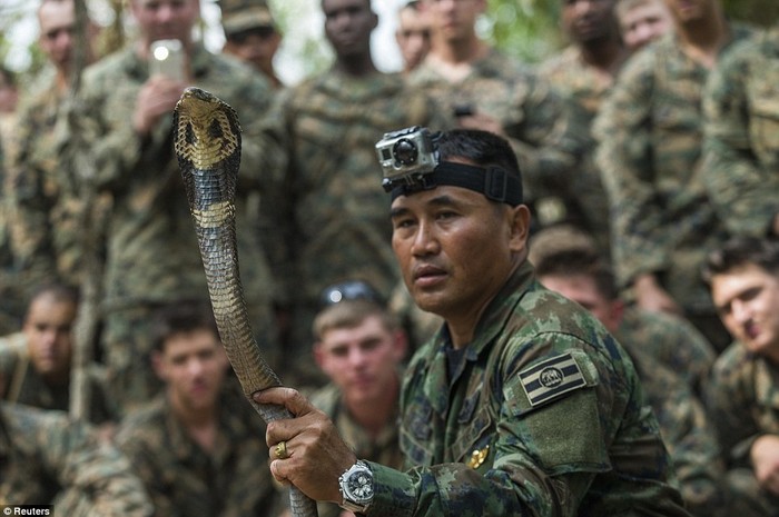 Giảng viên Thái Lan hướng dẫn cách bắt và giết rắn.