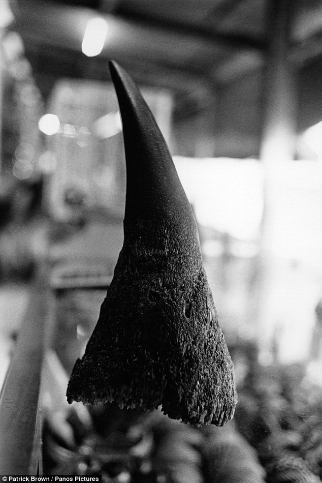 Sừng tê giác treo trong một cửa hàng trên biên giới Myanmar với Thái Lan. Nó được niêm yết giá bán 8.000 USD.