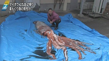 Con mực ống khổng lồ vừa được ngư dân Tetsuo Okamoto bắt được.
